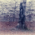 Ankunft im Regen, durch die Autoscheibe fotografiert