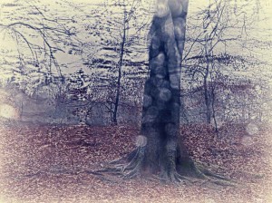 Ankunft im Regen, durch die Autoscheibe fotografiert